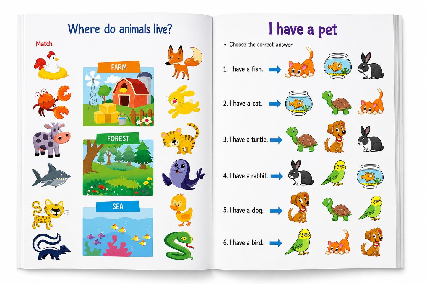 Animals activity book