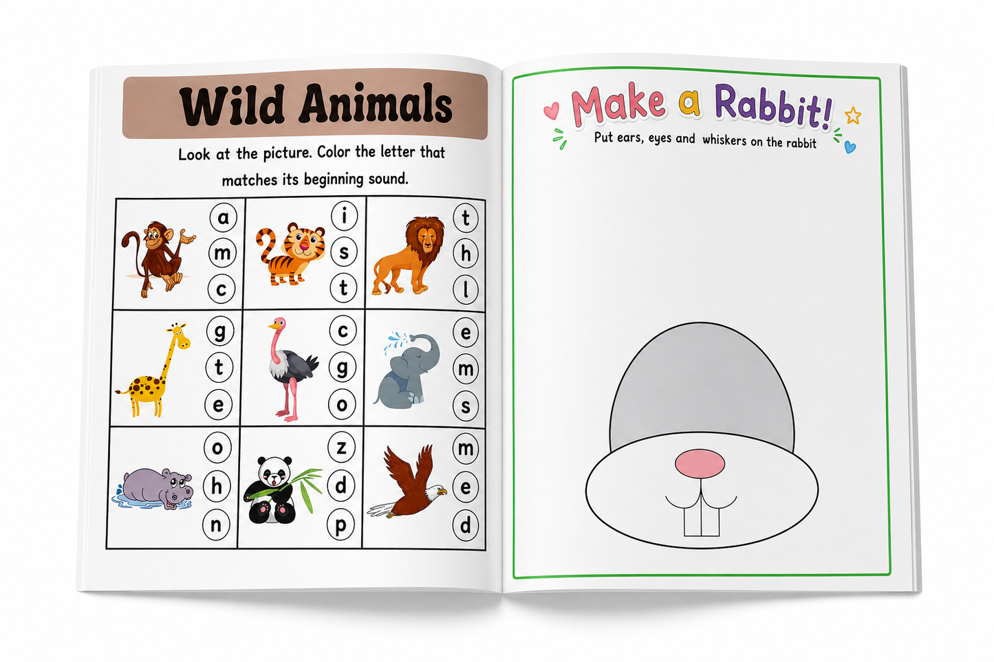 Animals activity book